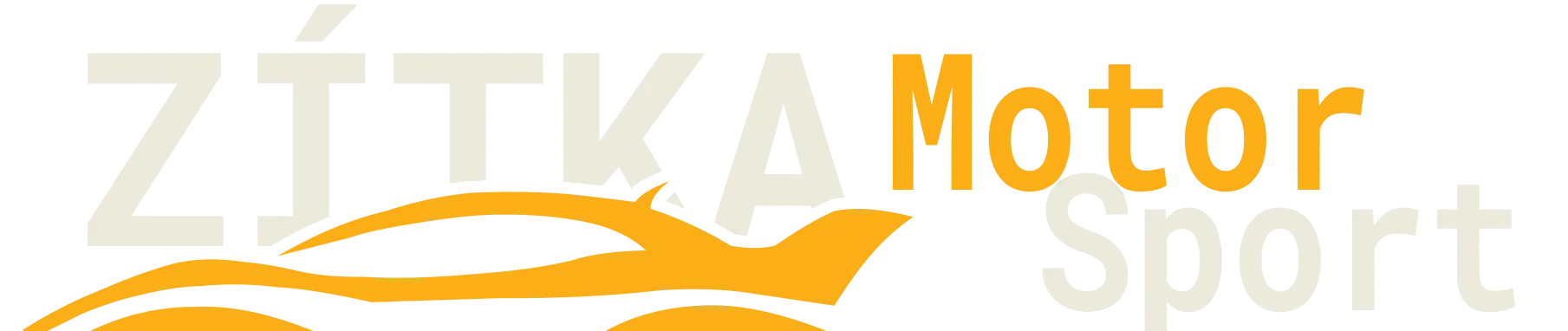 Primary Raster logo